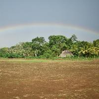 Group Profile Picture